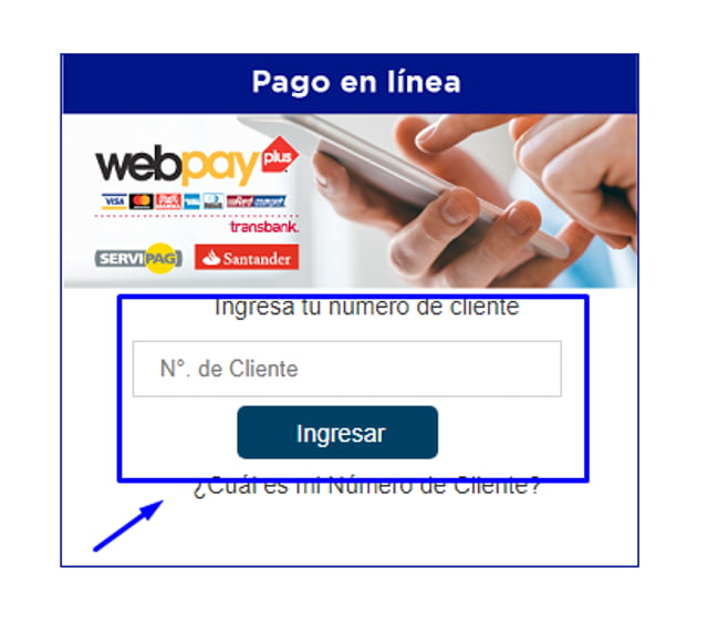 Cómo realizar en la plataforma CGE pago online 3